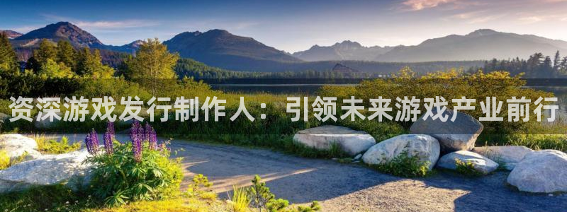 火狐电竞登录注册账号安全吗：资深游戏发行制作人：引领未来游戏产业前行