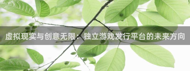 火狐电竞app官网科技有限公司：虚拟现实与创意无限：独立游戏发行平台的未来方向
