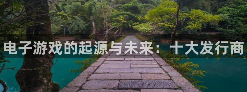 火狐电竞app官网集团是什么企业：电子游戏的起源与未来：十大发行商