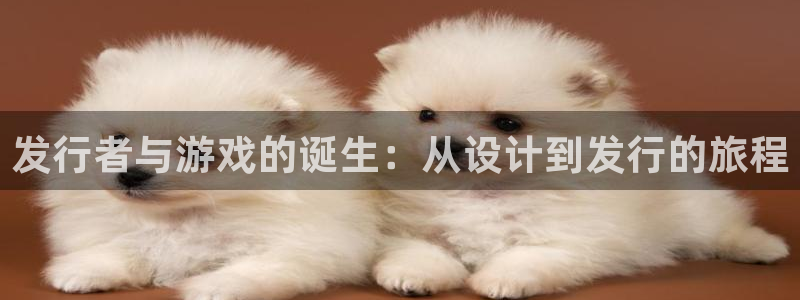 火狐电竞注册平台是什么公司：发行者与游戏的诞生：从设计到发行的旅程