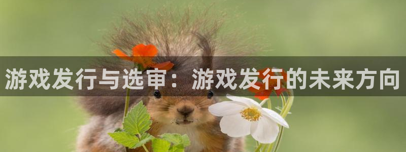 火狐电竞登录注册账号安全吗