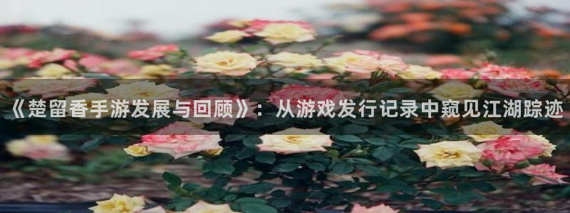 火狐电竞注册平台登录不了