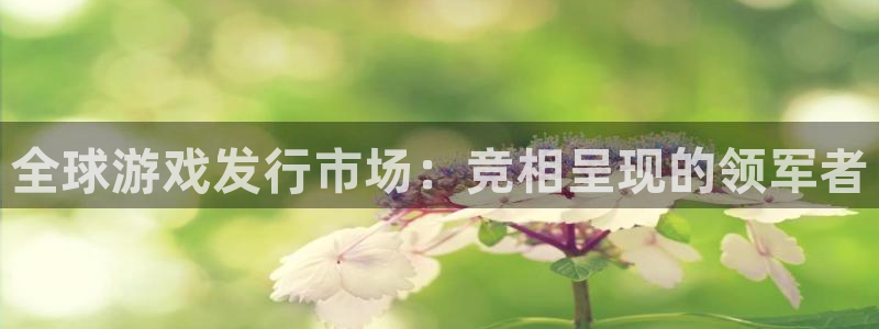 火狐电竞app官网服装