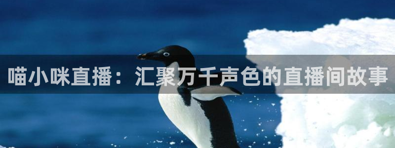 斗球直播在线看免费：喵小咪直播：汇聚万千声色的直播间故事