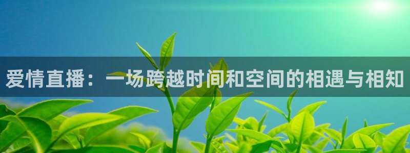 斗球nba直播：爱情直播：一场跨越时间和空间的相遇与相知