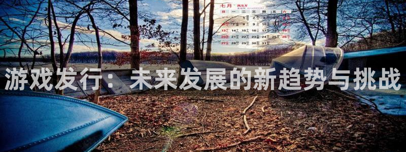 我想看火狐电竞app官网：游戏发行：未来发展的新趋势与挑战