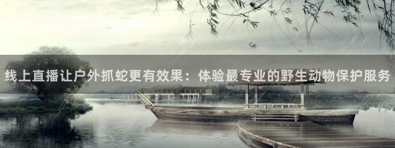 斗球直播app怎么下载