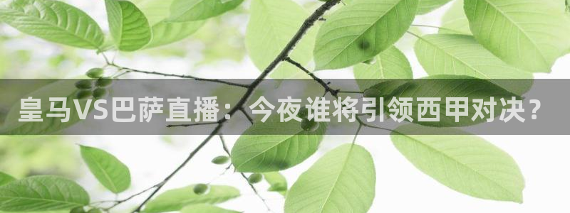 斗球直播app下载官方版：皇马VS巴萨直播：今夜谁将引领西甲对决？