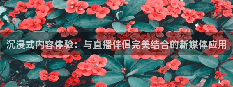 斗球app在线观看