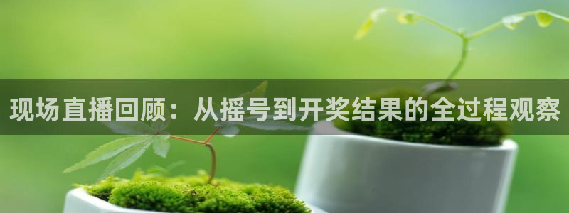 下载斗球体育app：现场直播回顾：从摇号到开奖结果的全过程观察